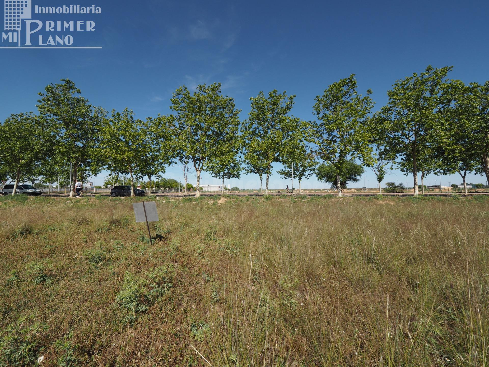 Solar en Venta en Villarrobledo - Oportunidad Única por 26.0 - foto 2