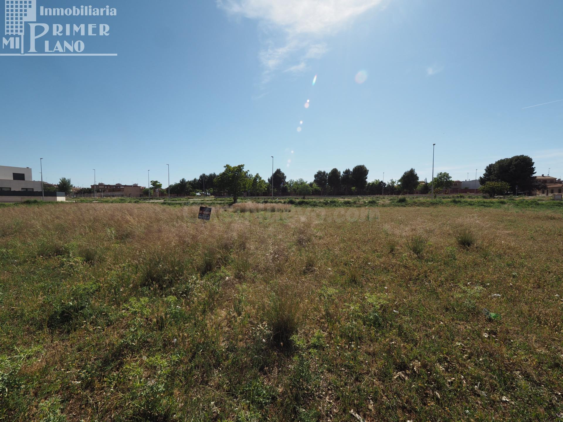Solar en Venta en Villarrobledo - Oportunidad Única por 26.0 - foto 3
