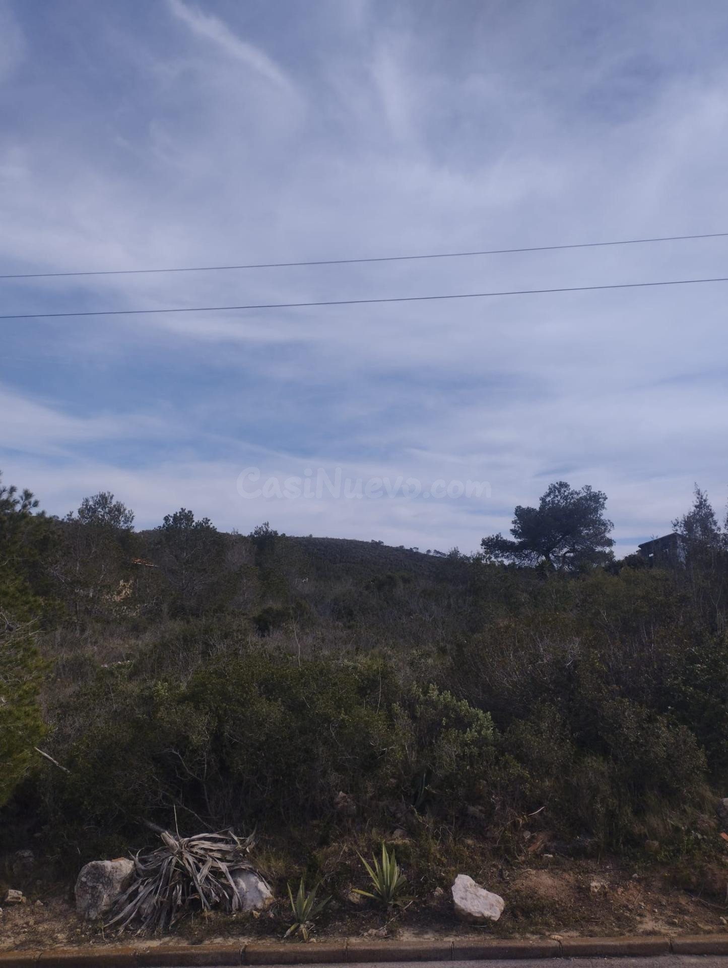GRAN PARCELA EN VENTA EN CAN GORDEY