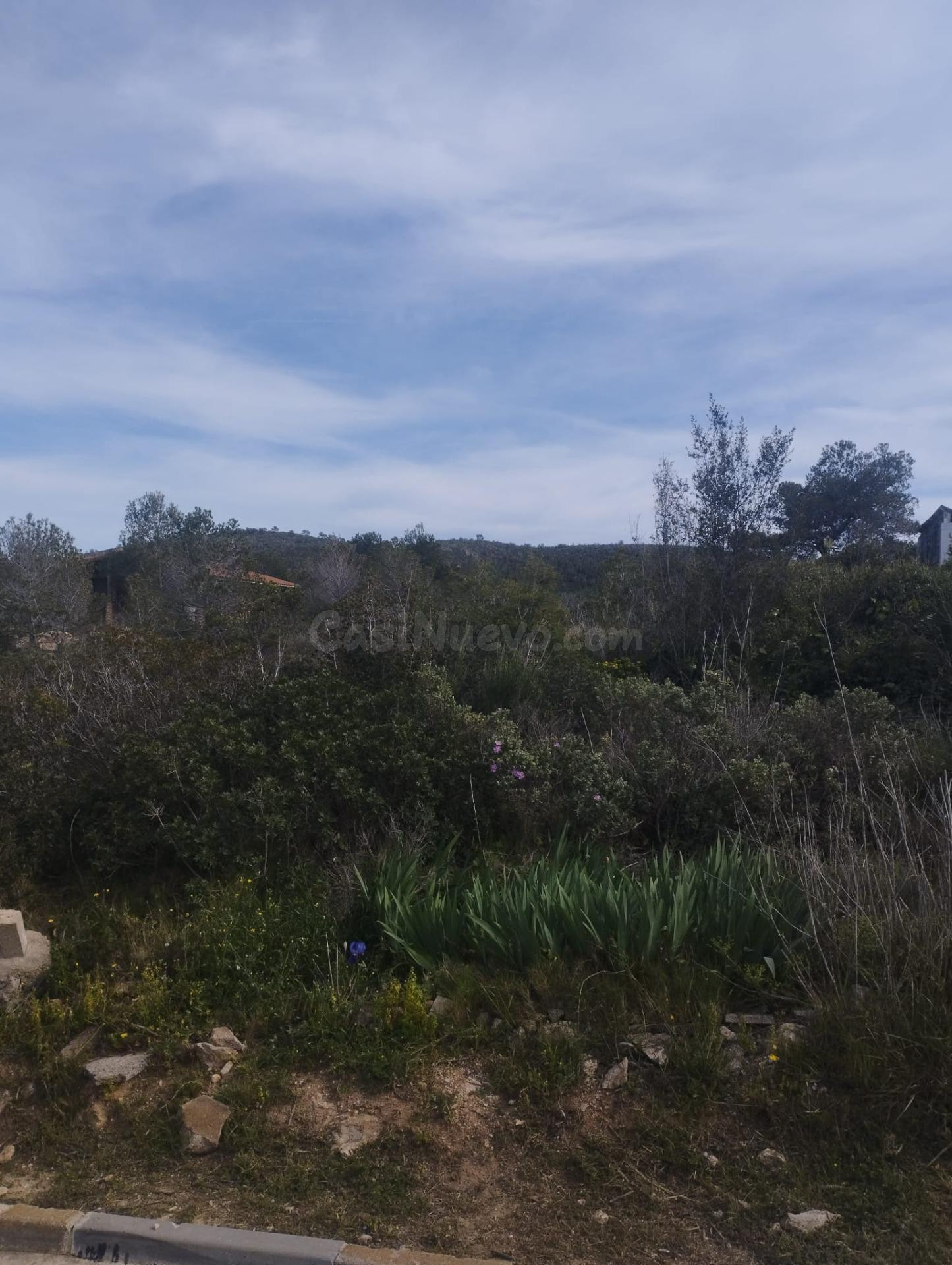 GRAN PARCELA EN VENTA EN CAN GORDEY - foto 2