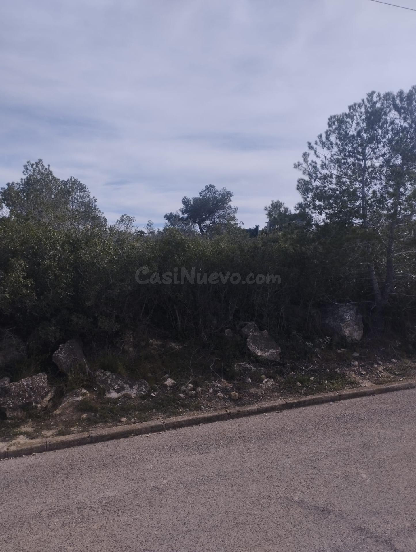 GRAN PARCELA EN VENTA EN CAN GORDEY - foto 5