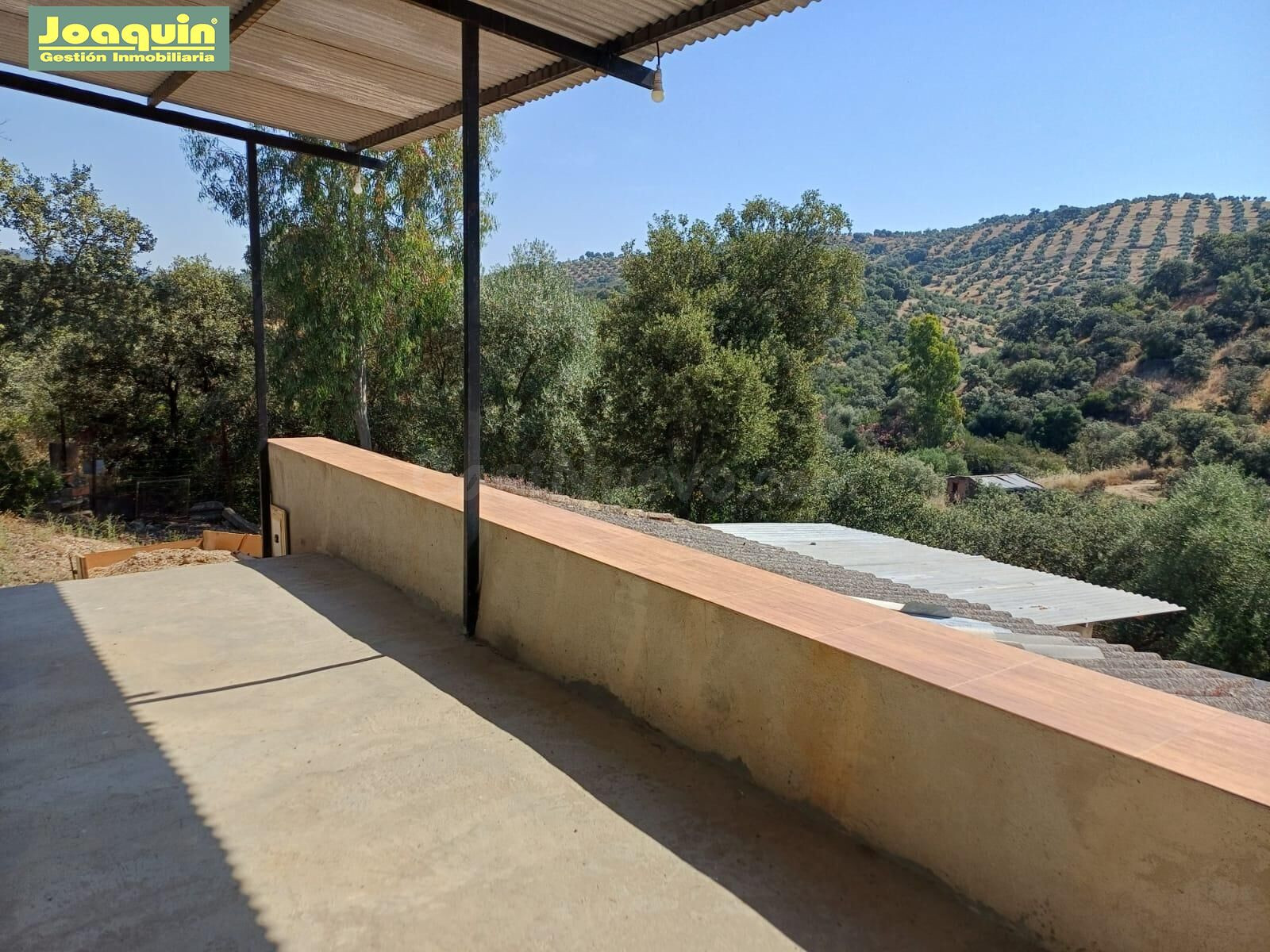 FINCA DE 13.272 METROS DE TERRENO VALLADA EN MONTORO. - foto 5