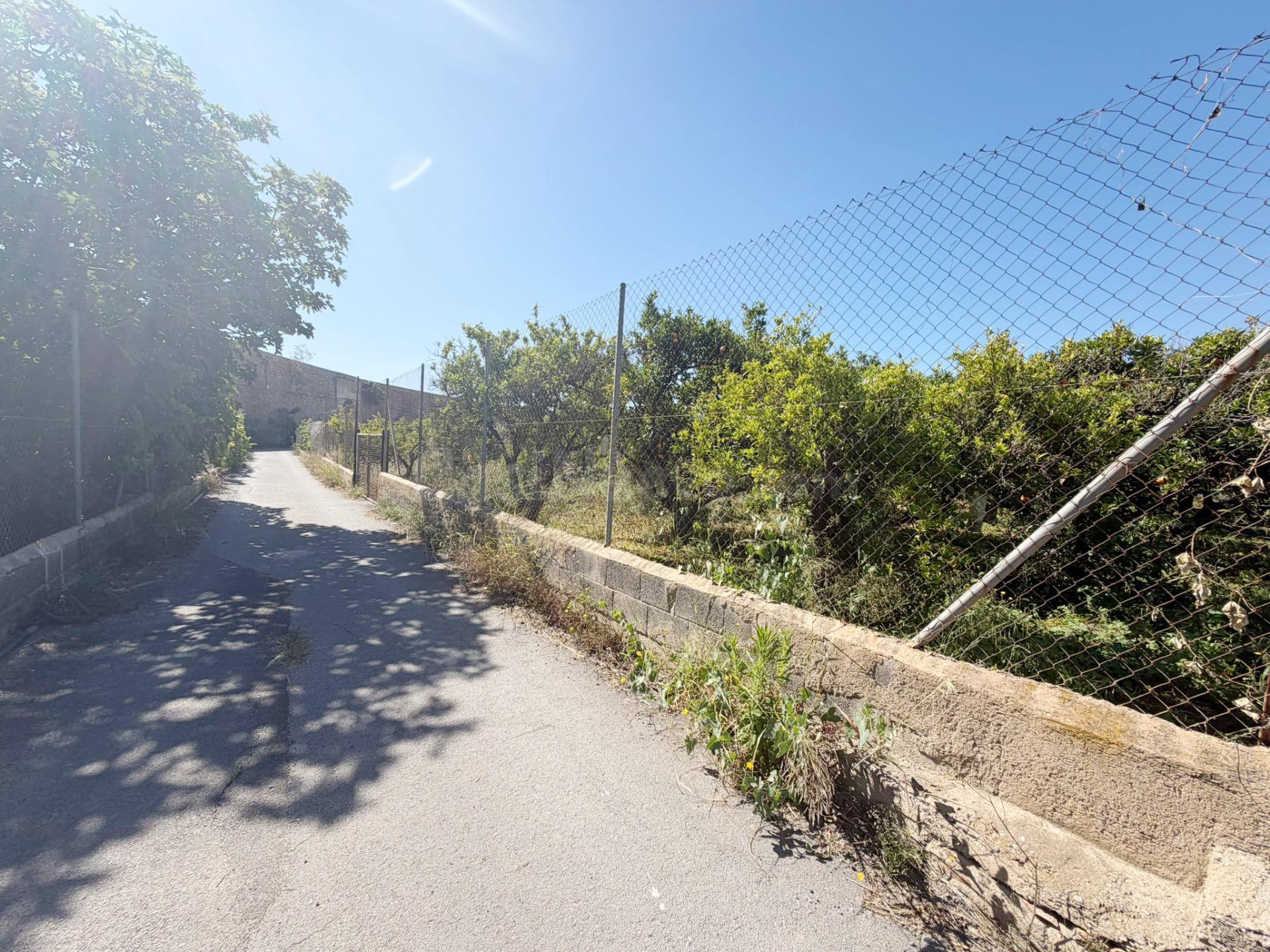 RIOJA  Parcela rústica de 4.700 m2 completamente vallada y a - foto 3