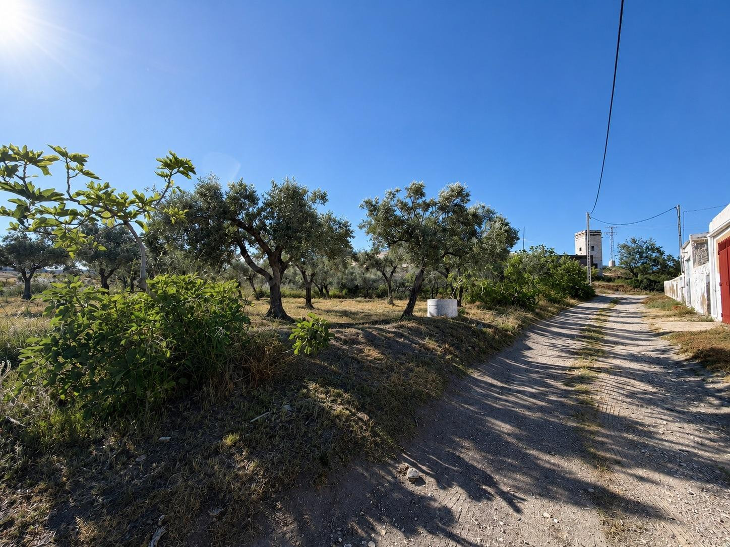 TABERNAS Finca Rústica con Cortijo de 170 m2 const. y 6 Hect - foto 4