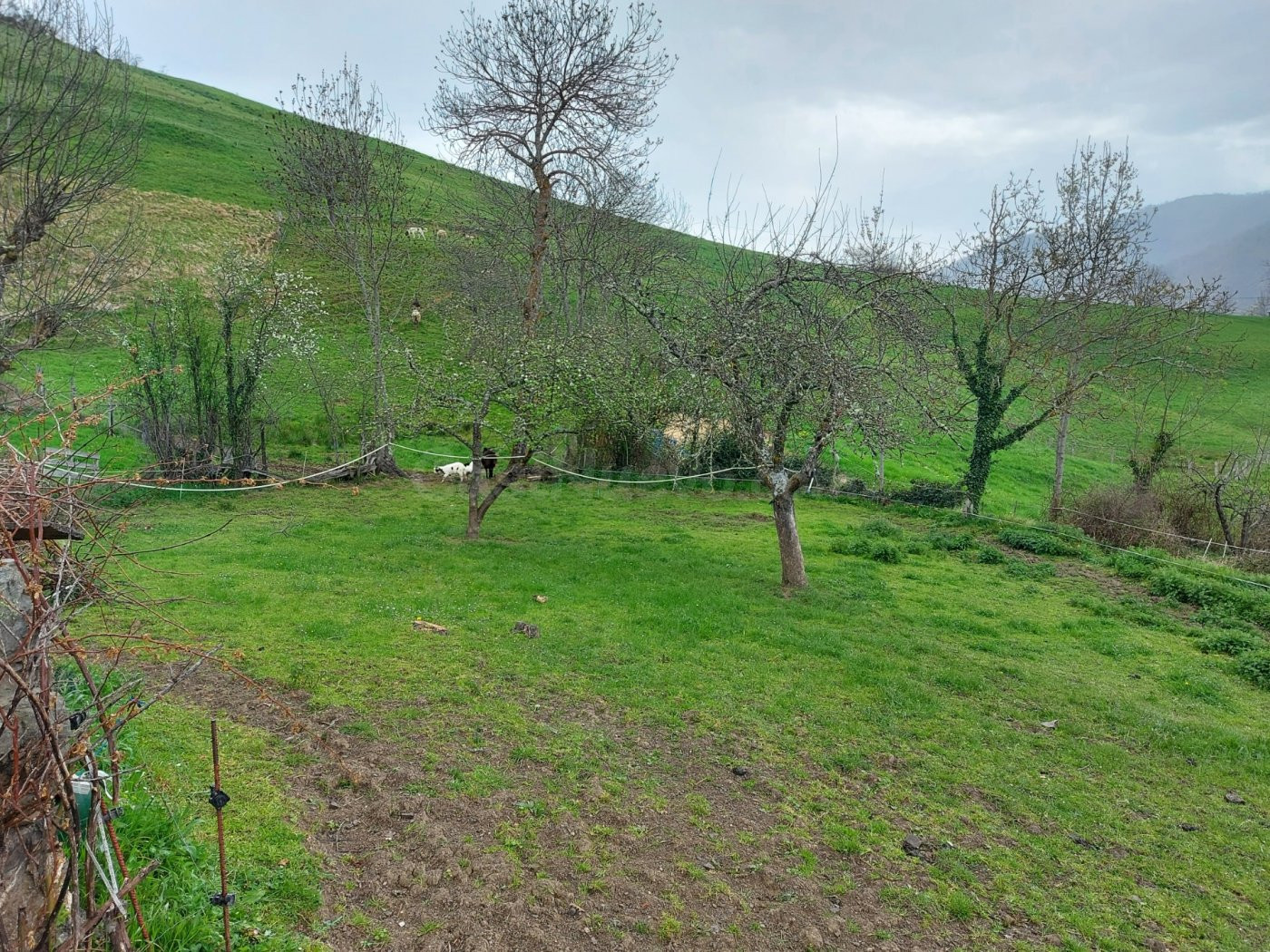Casa con parcela en Picos de Europa - foto 2