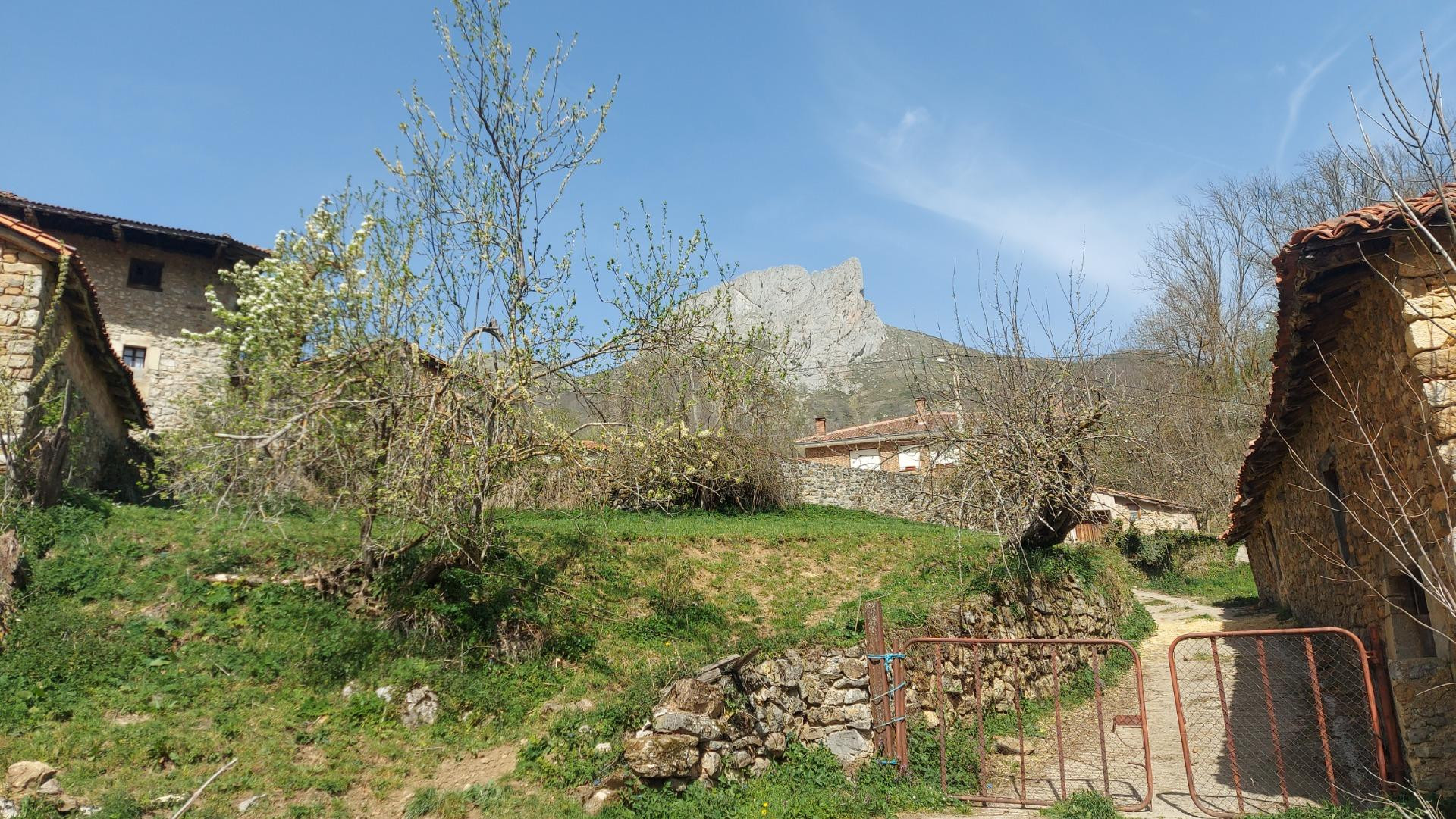 Venta parcela urbana en Pesaguero - foto 5