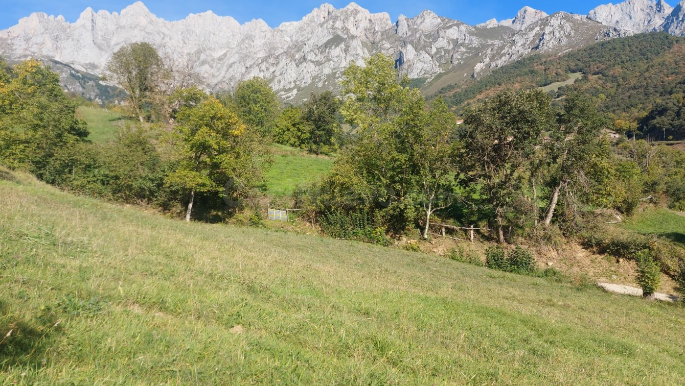 Parcela rustica urbanizable - foto 4