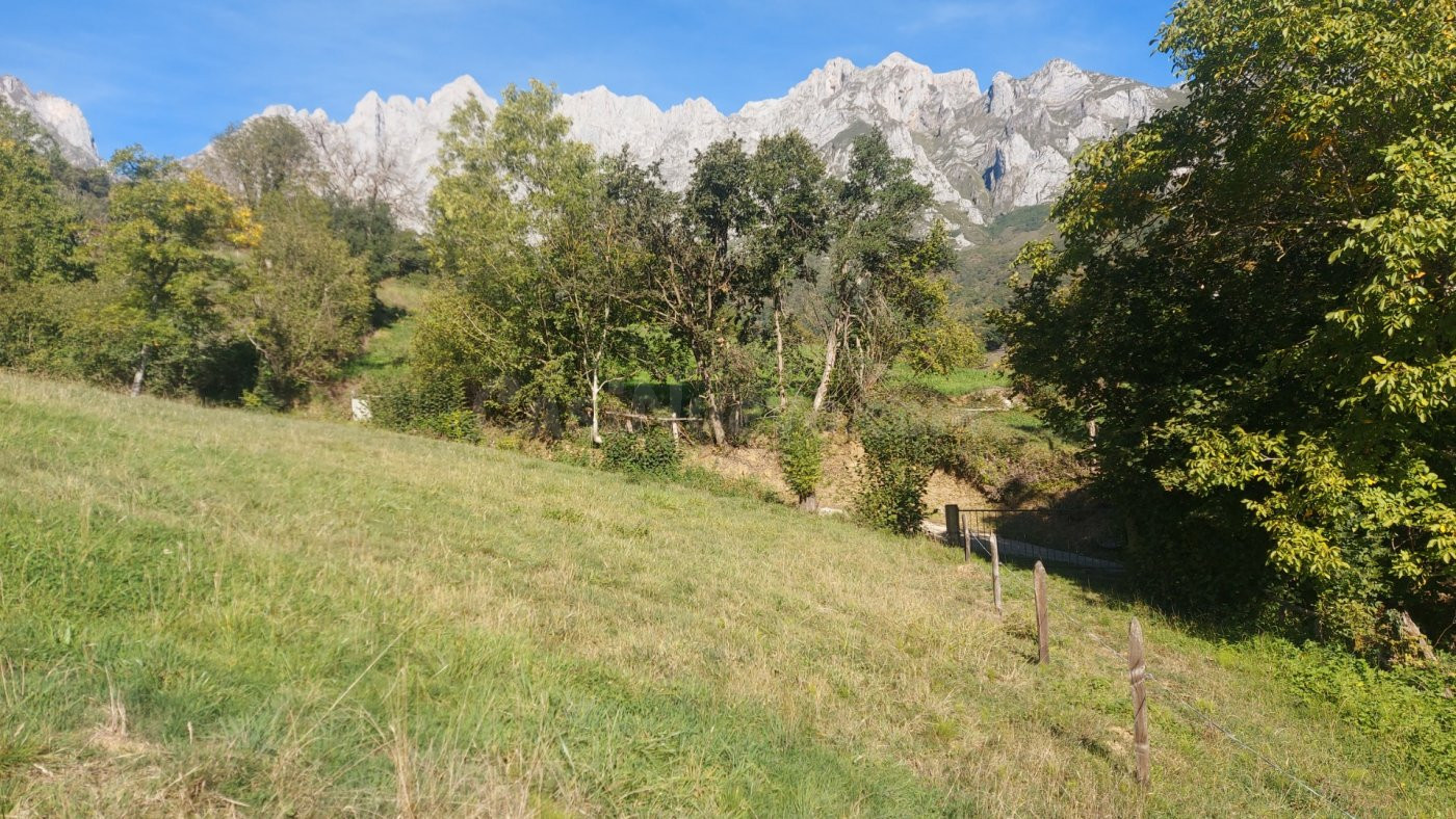 Parcela rustica urbanizable - foto 5