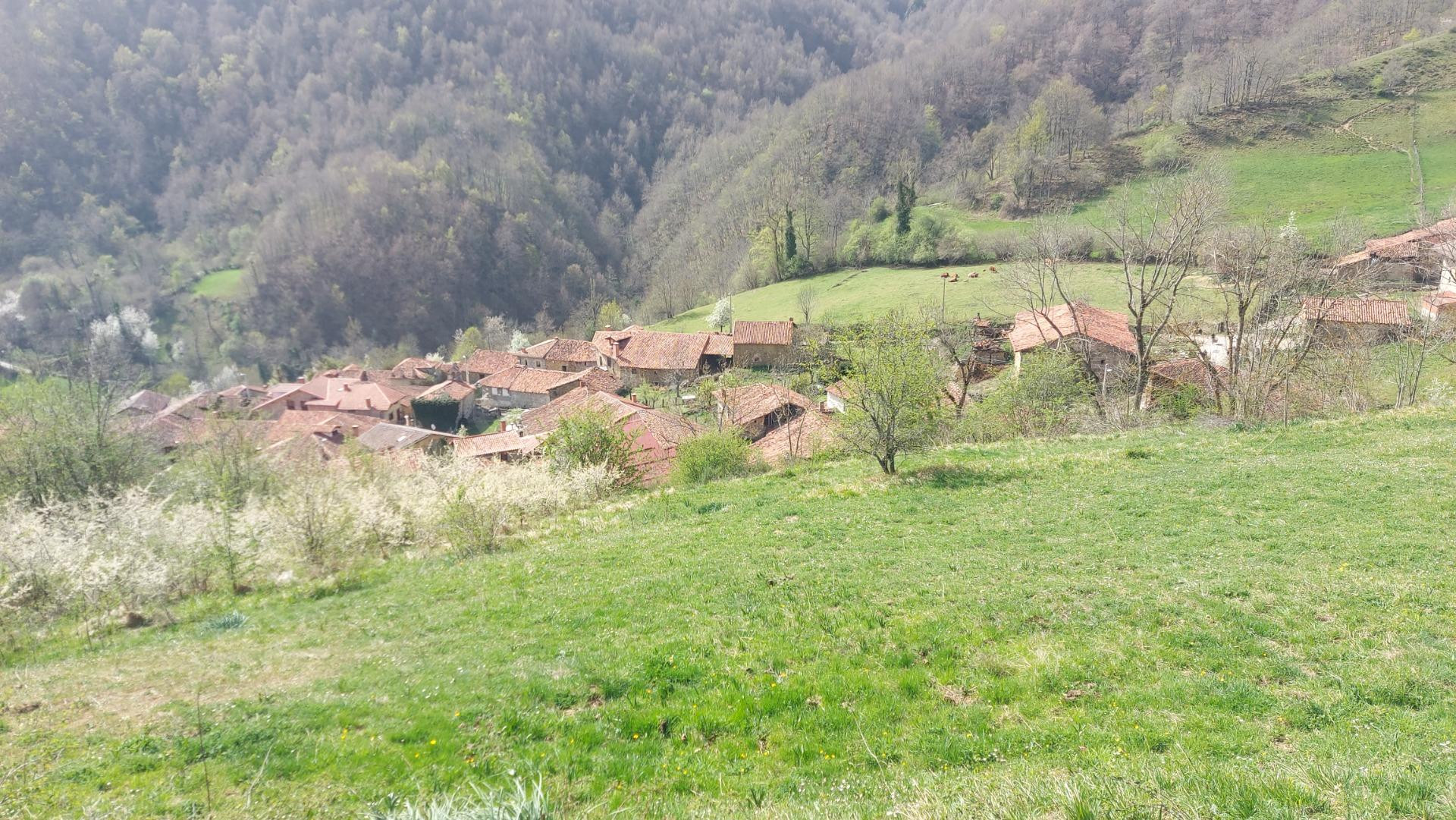 Venta de Terreno rustico urbanizable - foto 3