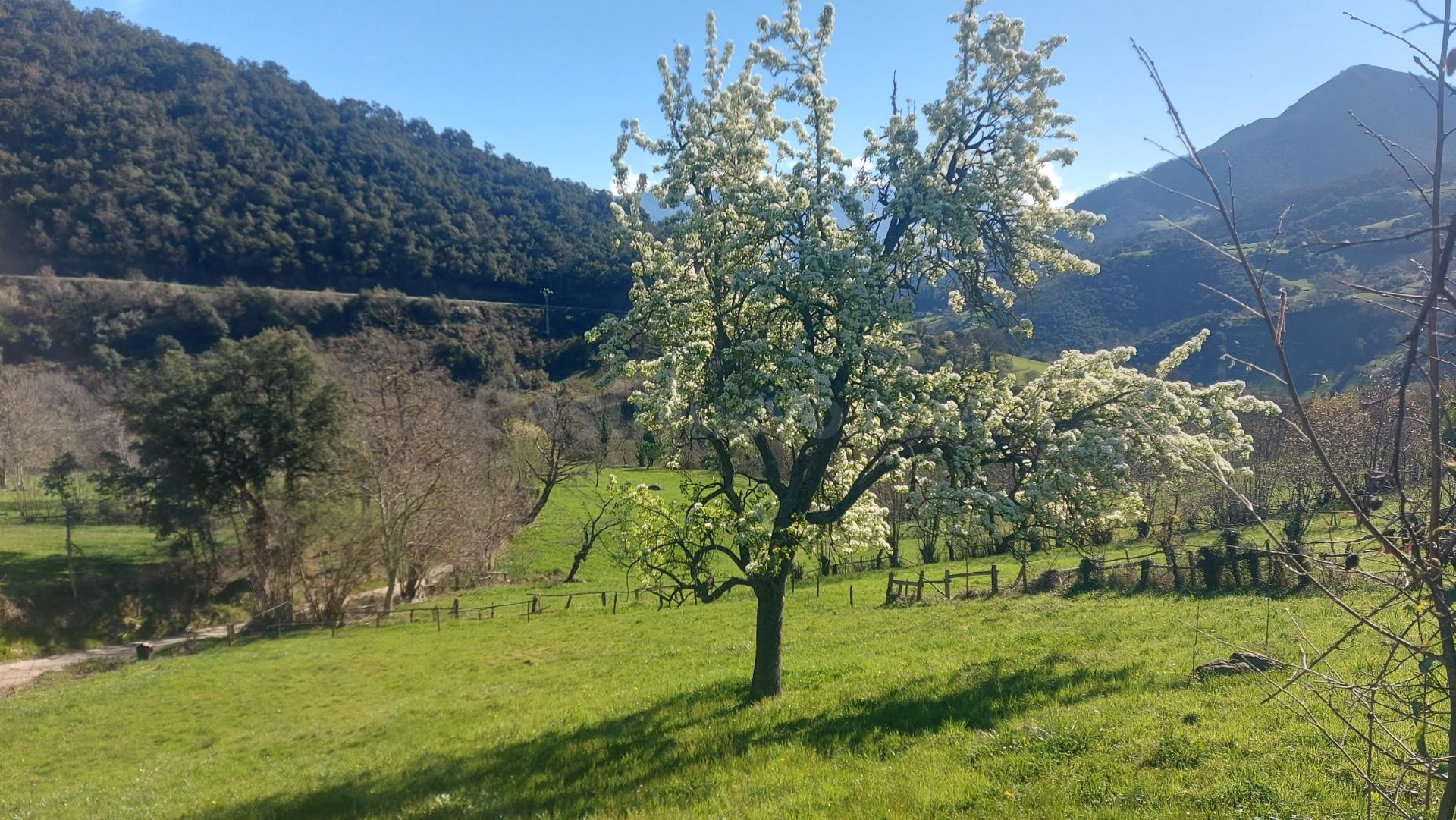 Finca urbanizable en Mogrovejo - foto 2