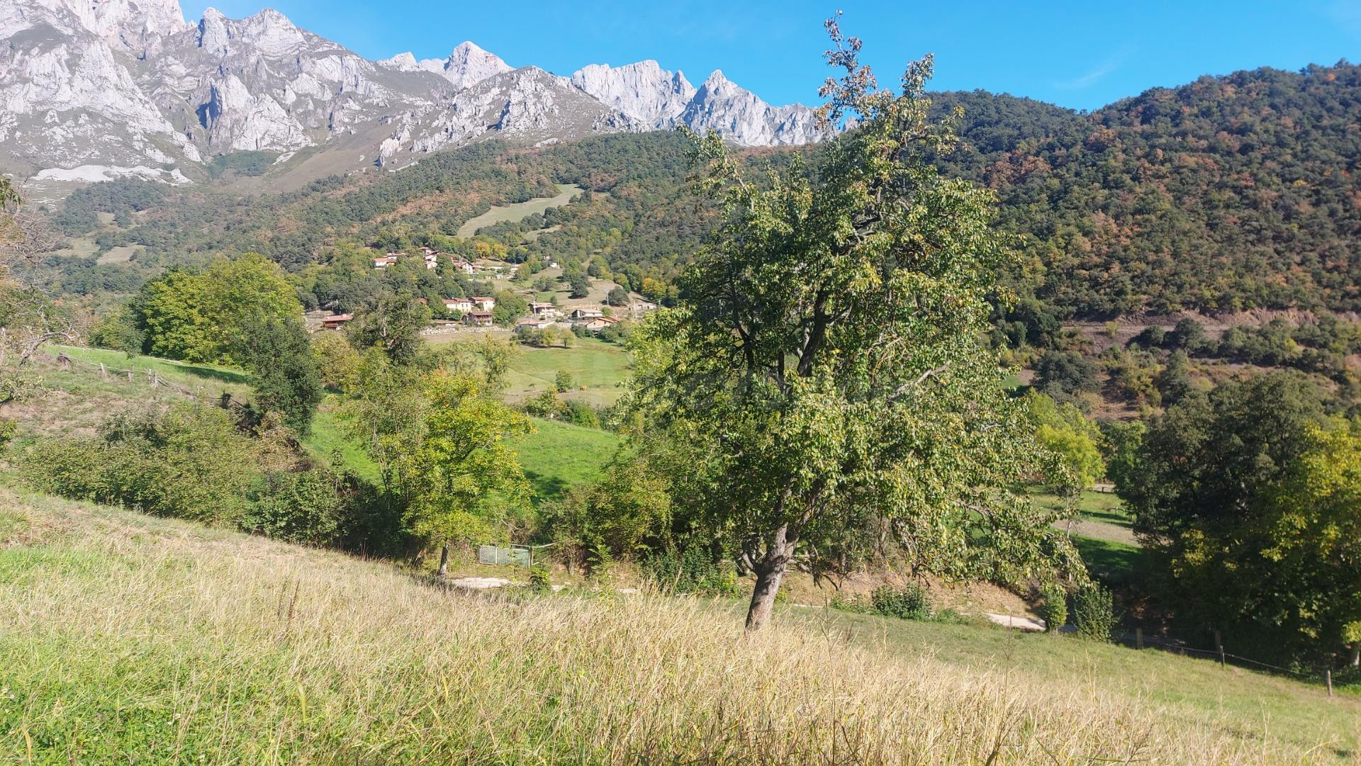 Finca urbanizable en Mogrovejo - foto 4