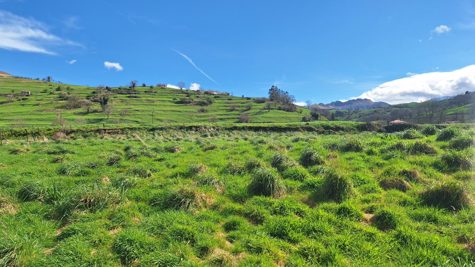 **Terreno en Venta en Selaya, Cantabria** - foto 3