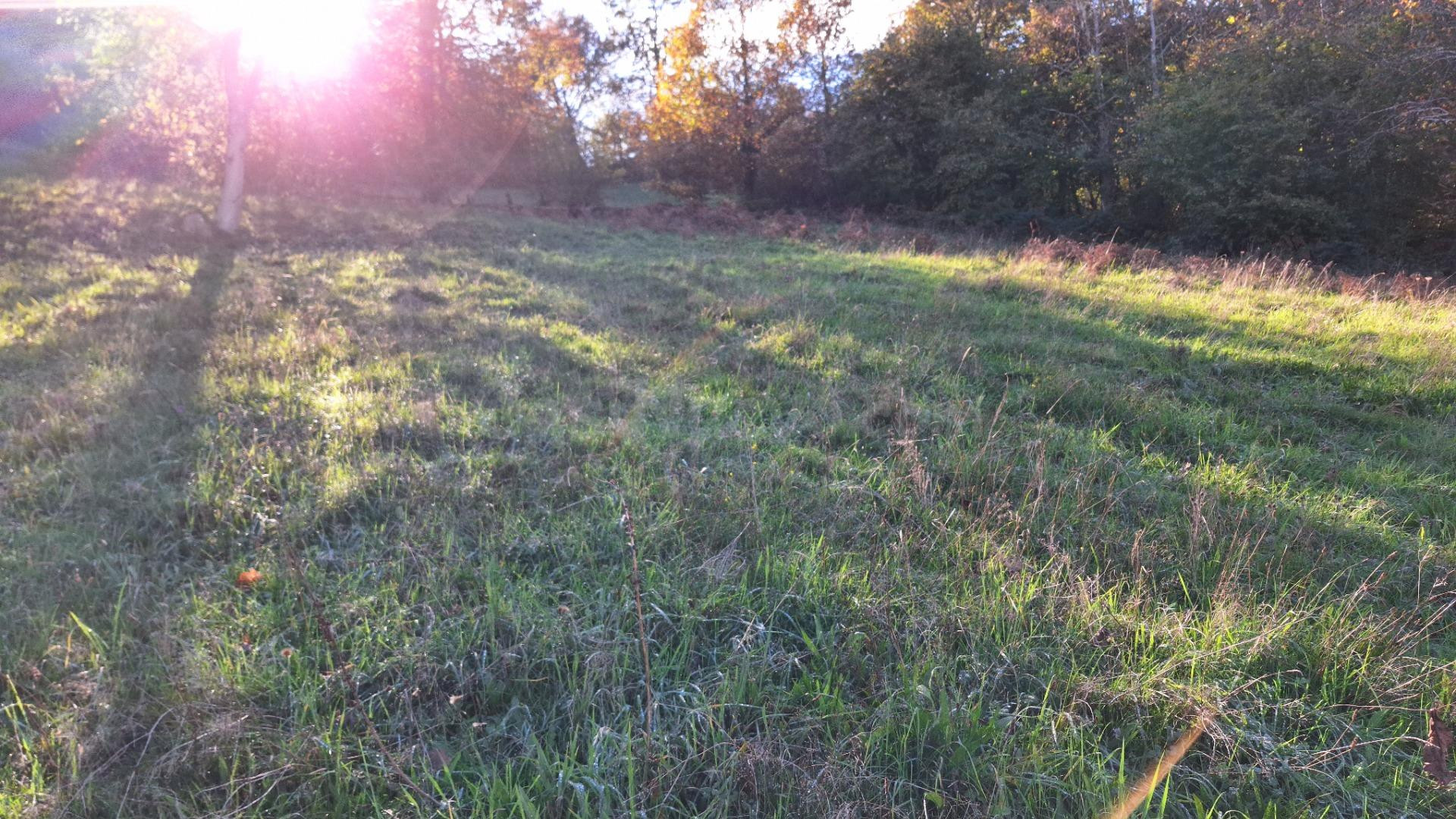 Terreno urbanizable en Liébana - foto 4