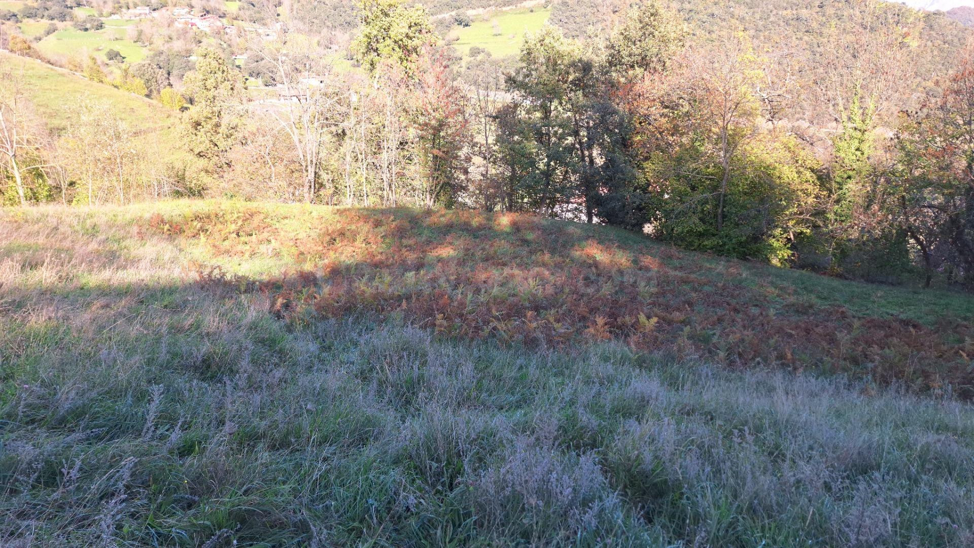 Terreno urbanizable en Liébana - foto 5