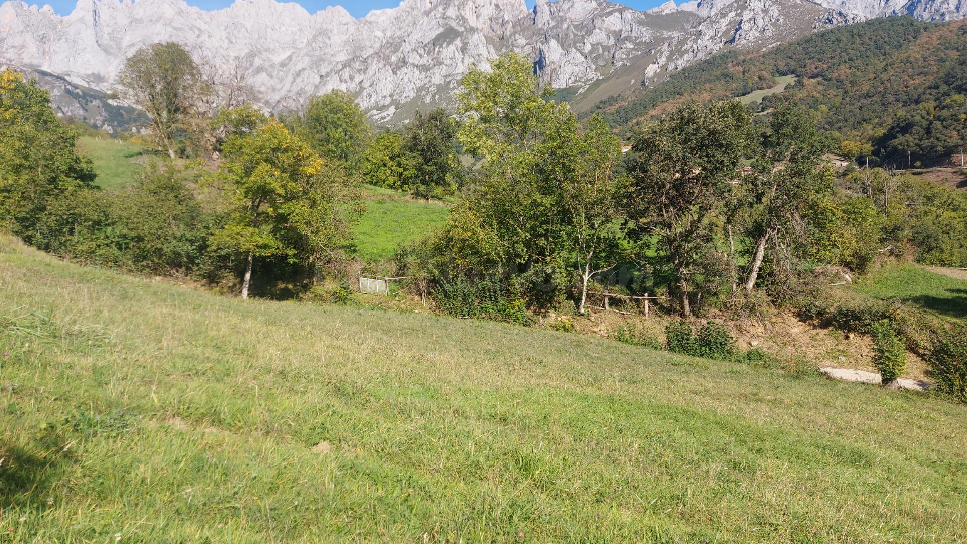 Venta de terreno rústico urbanizable en Liébana - foto 4