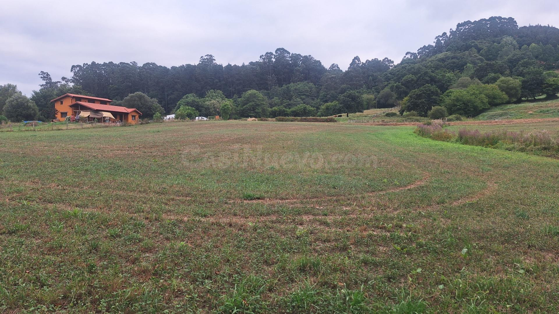 Venta terreno rustico urbanizable Castañeda - foto 2