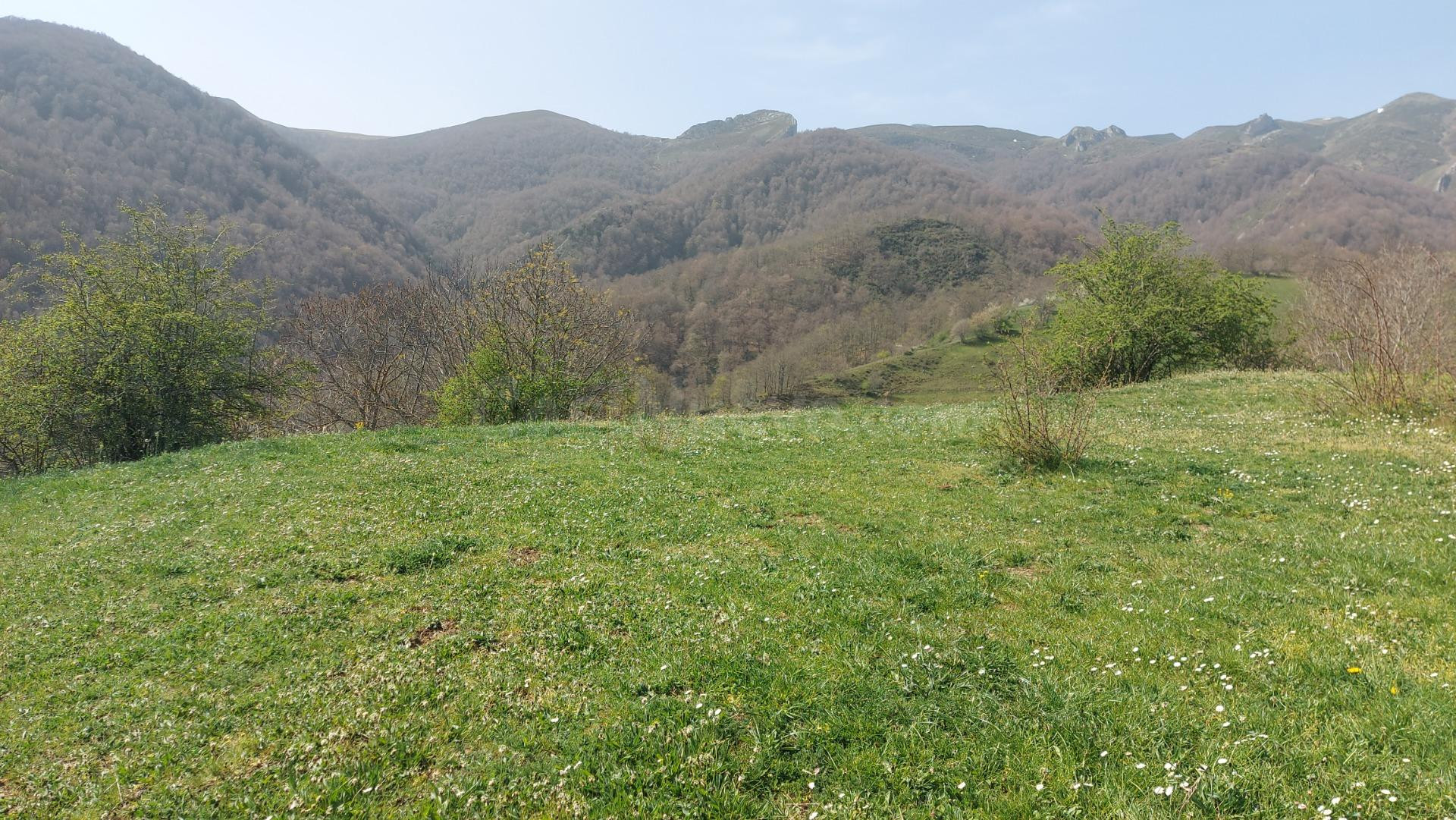 Venta terreno rustico en Caloca - foto 4