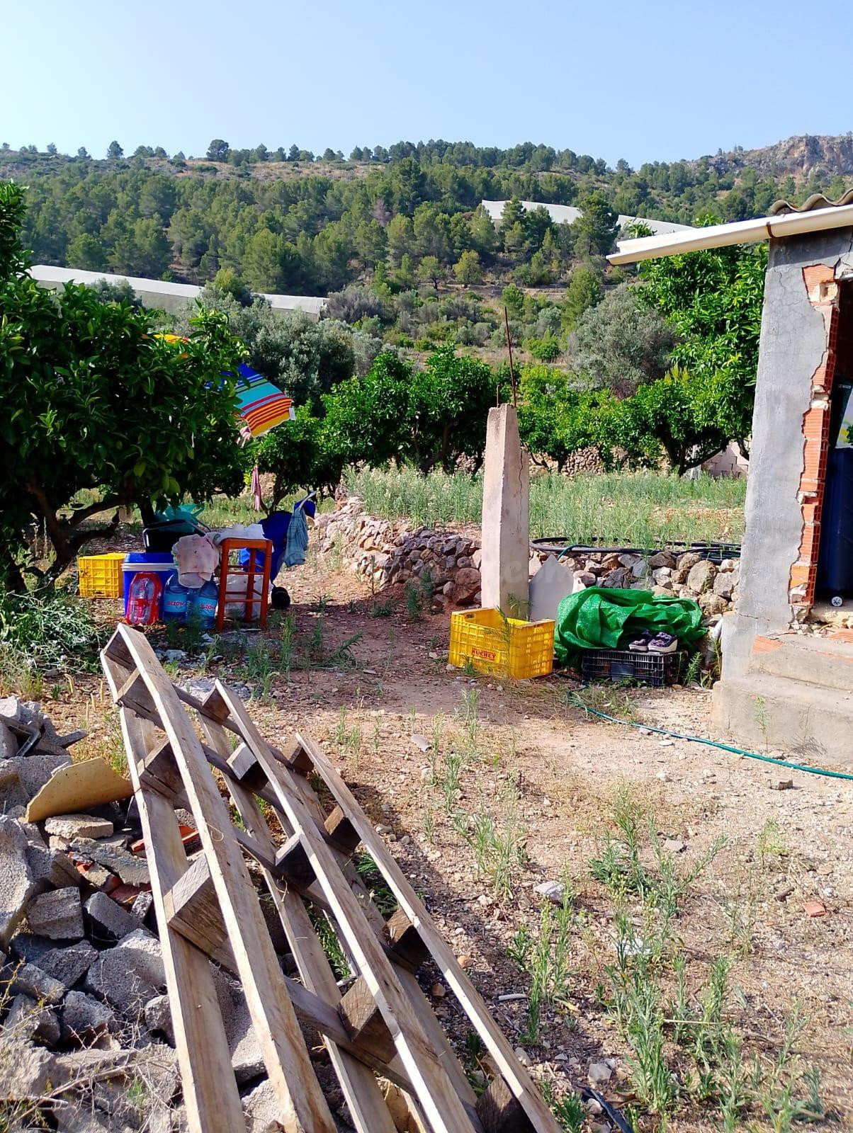 SE VENDE TERRENO EN BOLULLA - foto 3