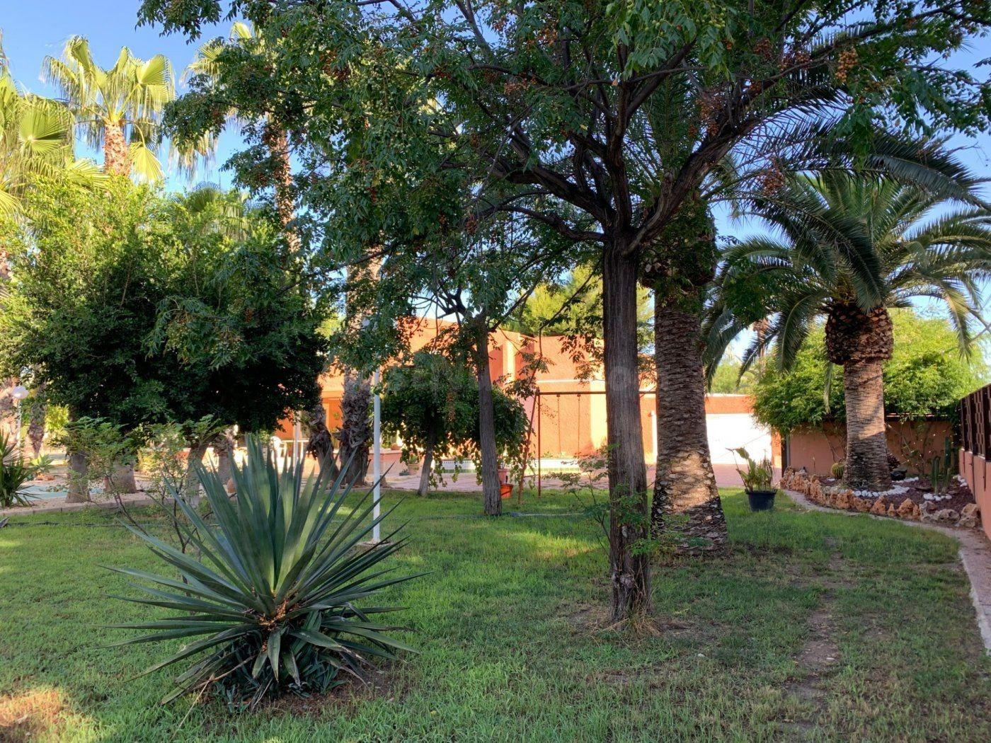 Chalet urbano con piscina en Elche, zona Matola. - foto 4
