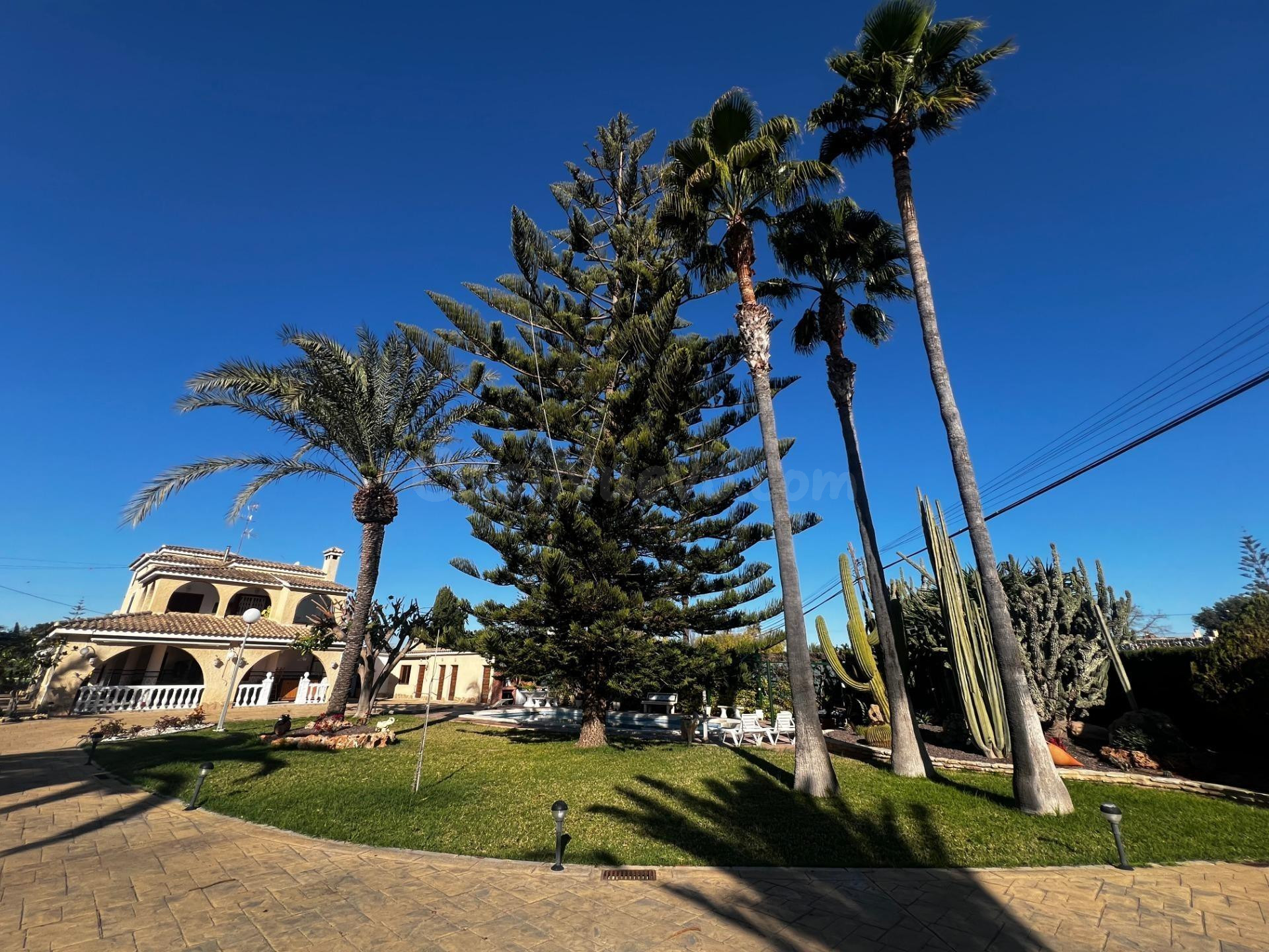 Chalet en Elche, zona las Bayas. - foto 4