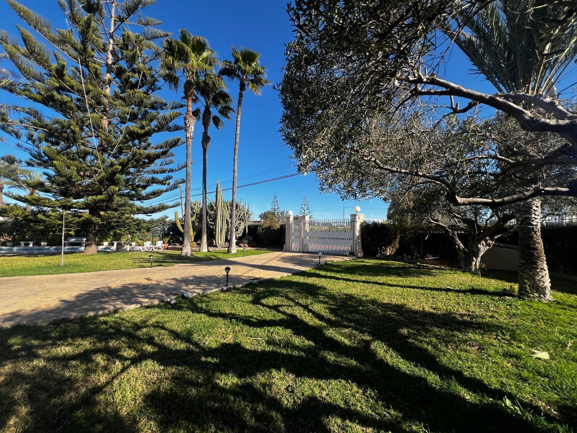 Chalet en Elche, zona las Bayas. - foto 5
