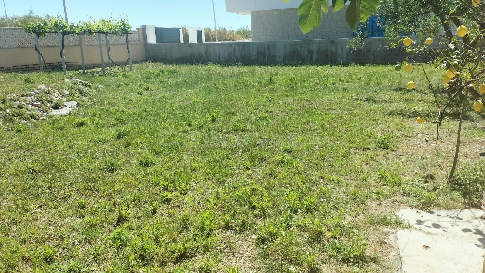 VENTA EN EXCLUSIVA PARCELA URBANA EN PRIMERA LINEA DE PLAYA - foto 4