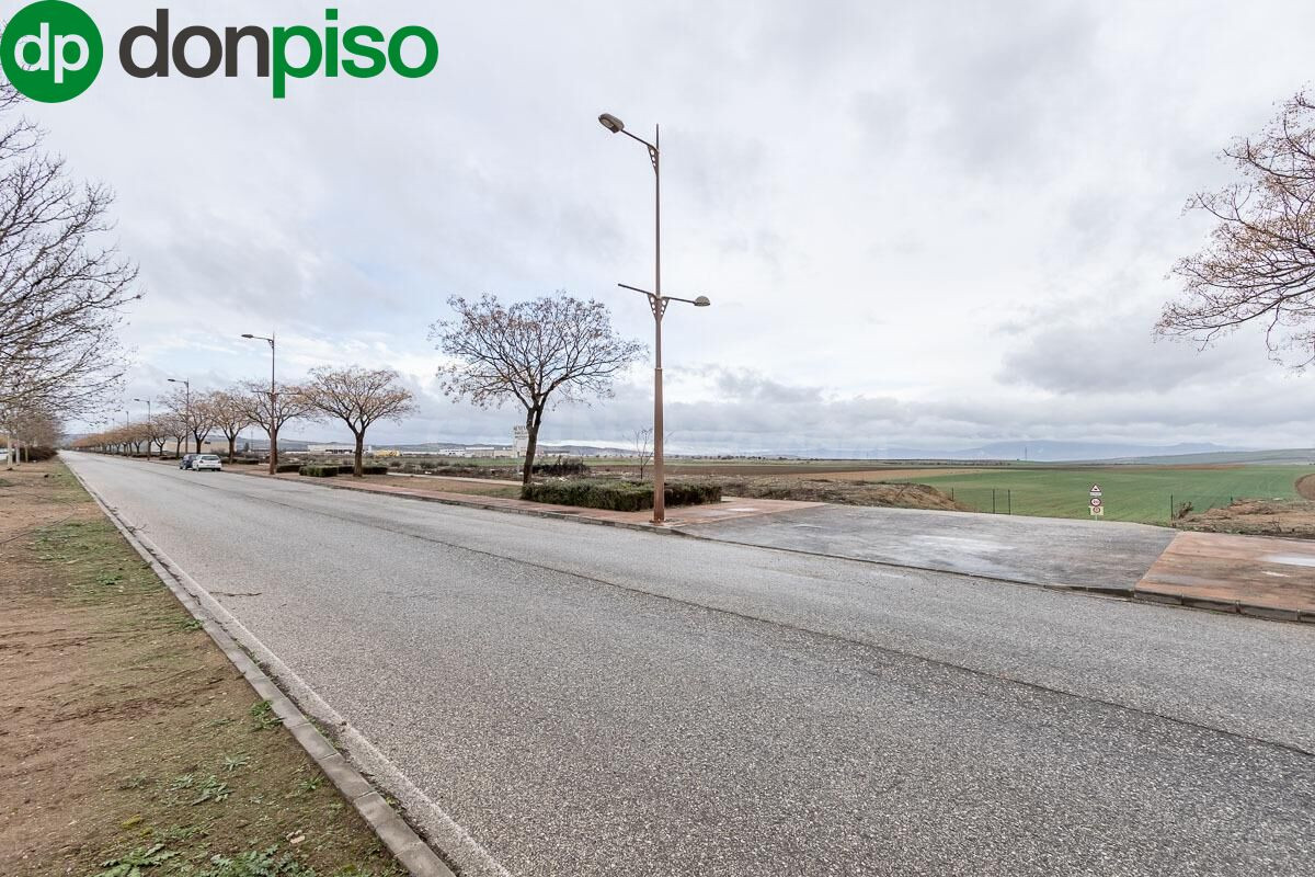 Parcela con proyecto básico de 17 naves industriales en el P - foto 2