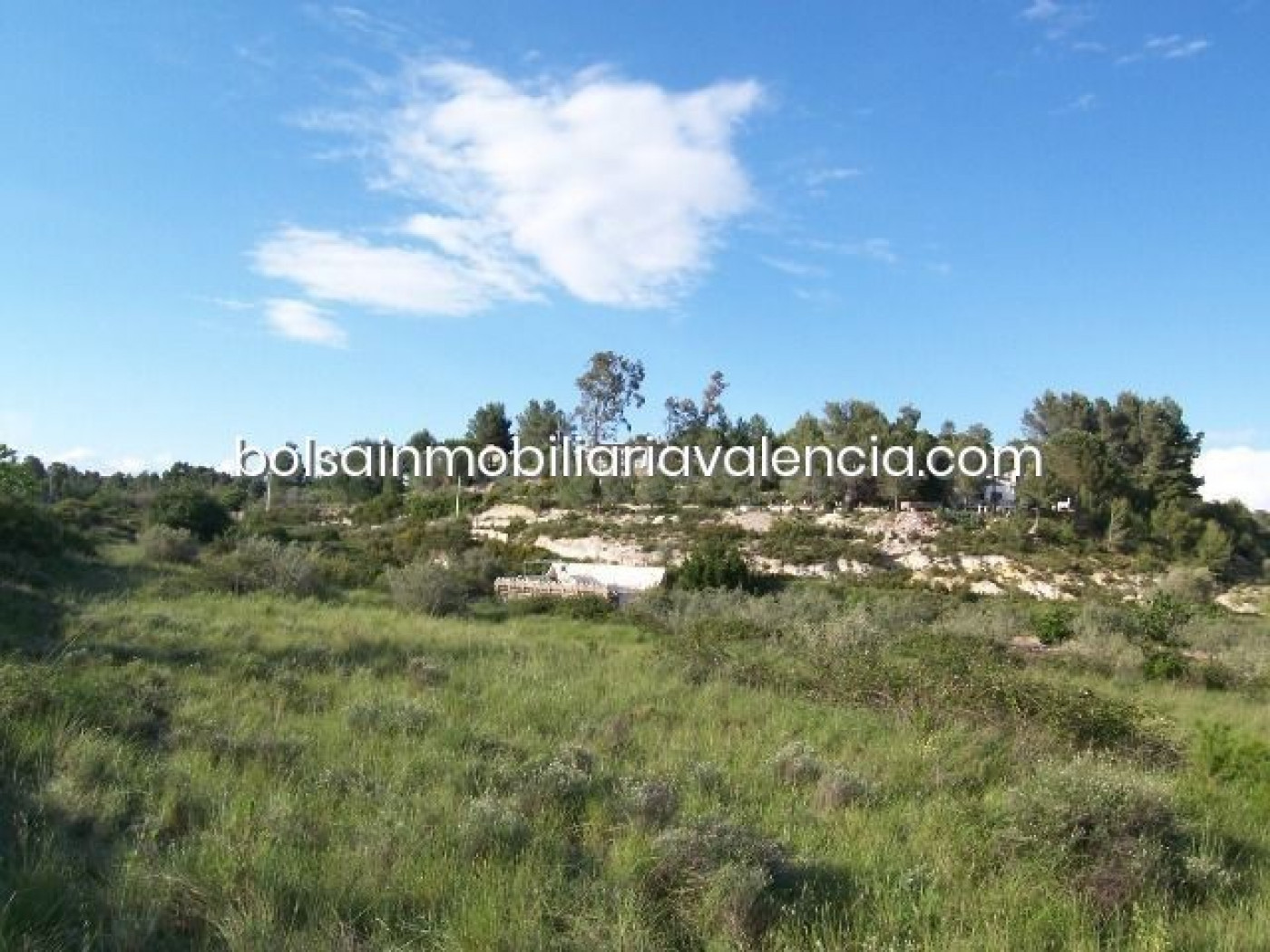 Terreno rural 8000m² en venta - La Raiosa