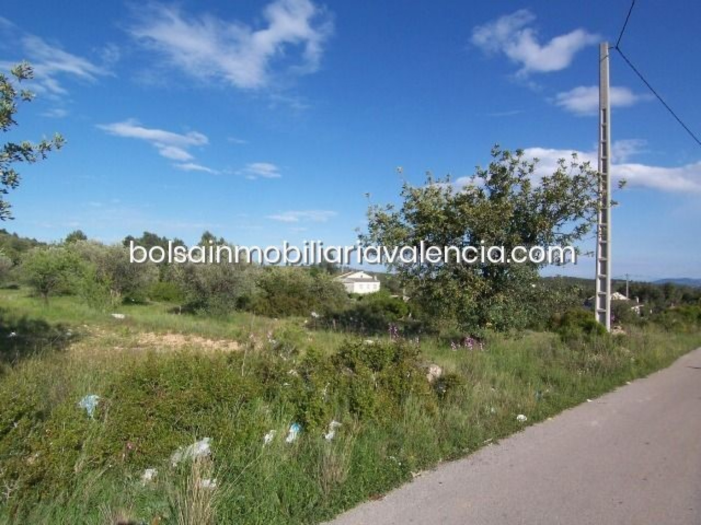 Terreno rural 8000m² en venta - La Raiosa - foto 2