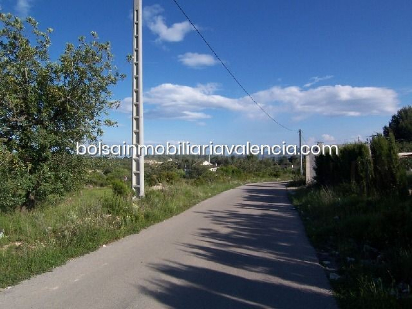 Terreno rural 8000m² en venta - La Raiosa - foto 3