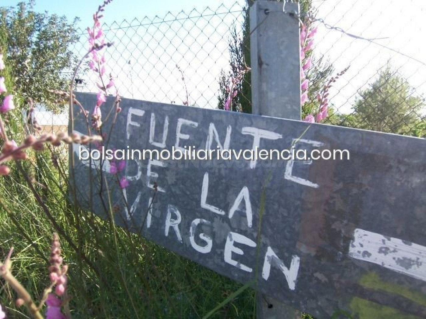 Terreno rural 8000m² en venta - La Raiosa - foto 4