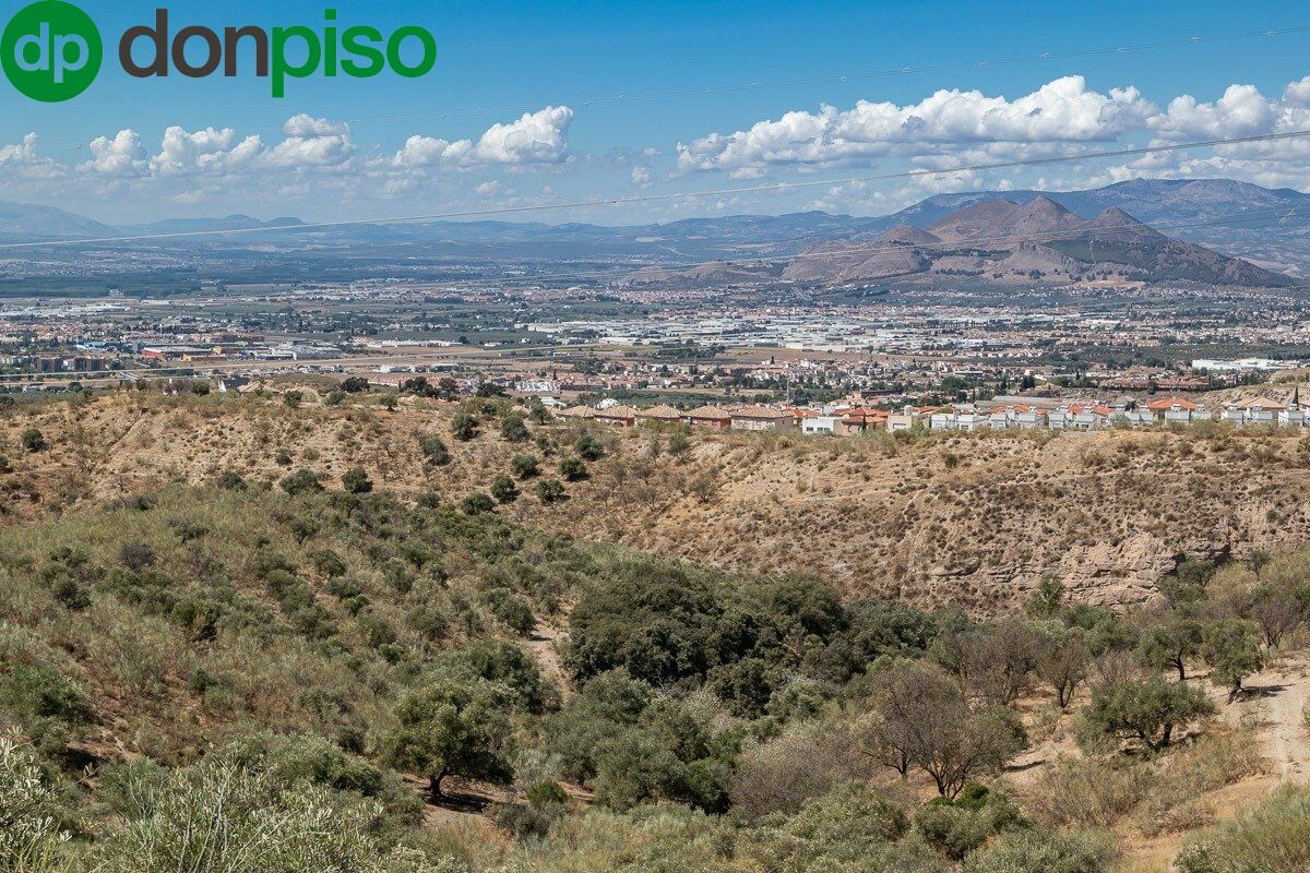 FINCA EN CORTIJO SAN JERÓNIMO (BARTODANO)