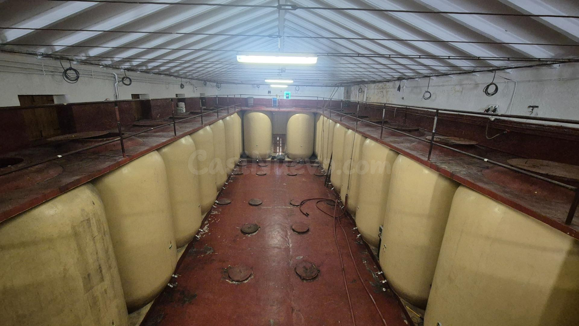 BODEGA VENTA PEREÑA DE LA RIBERA. Urbis te ofrece una bodega - foto 4