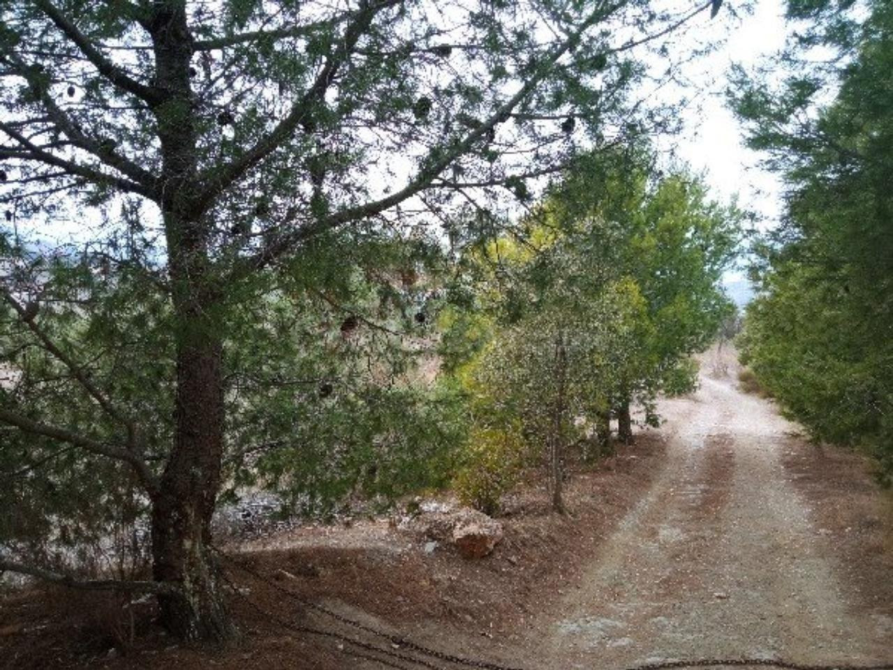 SE VENDE terreno rustico/casa  OKUPA en C PASTOR 10 de Taber - foto 2