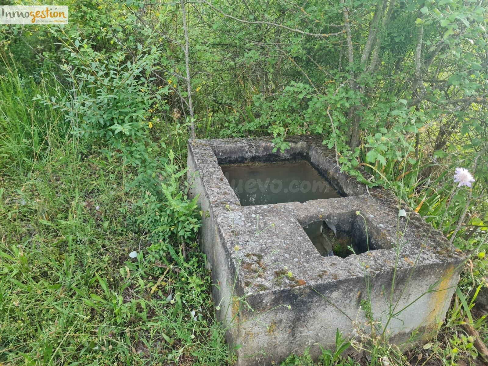 SE VENDE TERRENOS RUSTICOS EN TUDELA DE DUERO - foto 5
