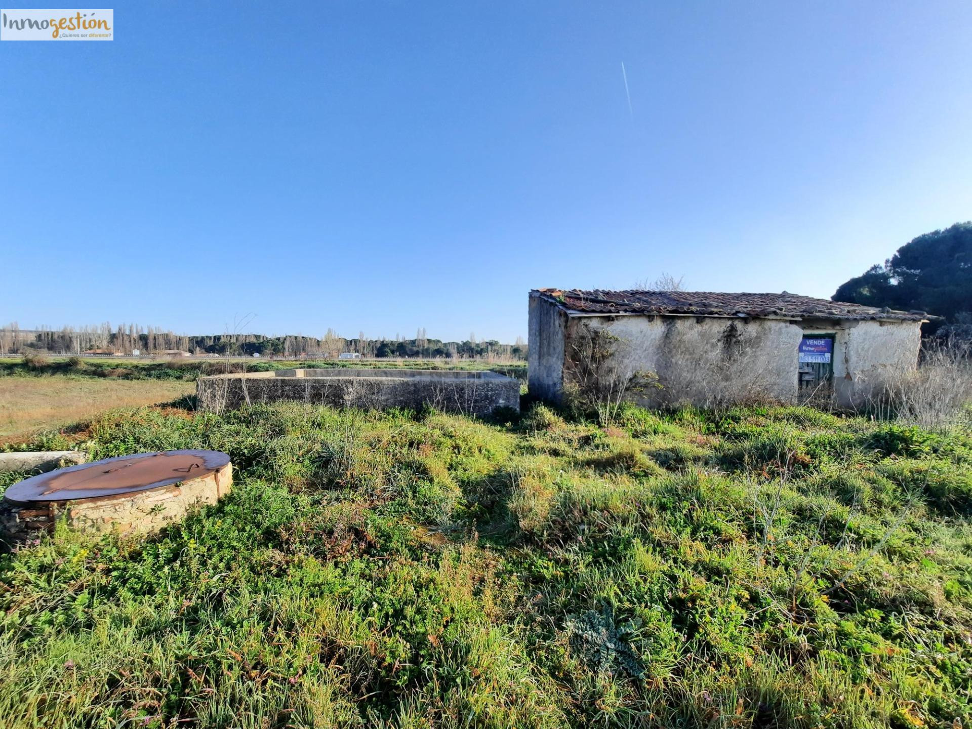 SE VENDE TERRENO RUSTICO EN TUDELA DE DUERO - foto 3