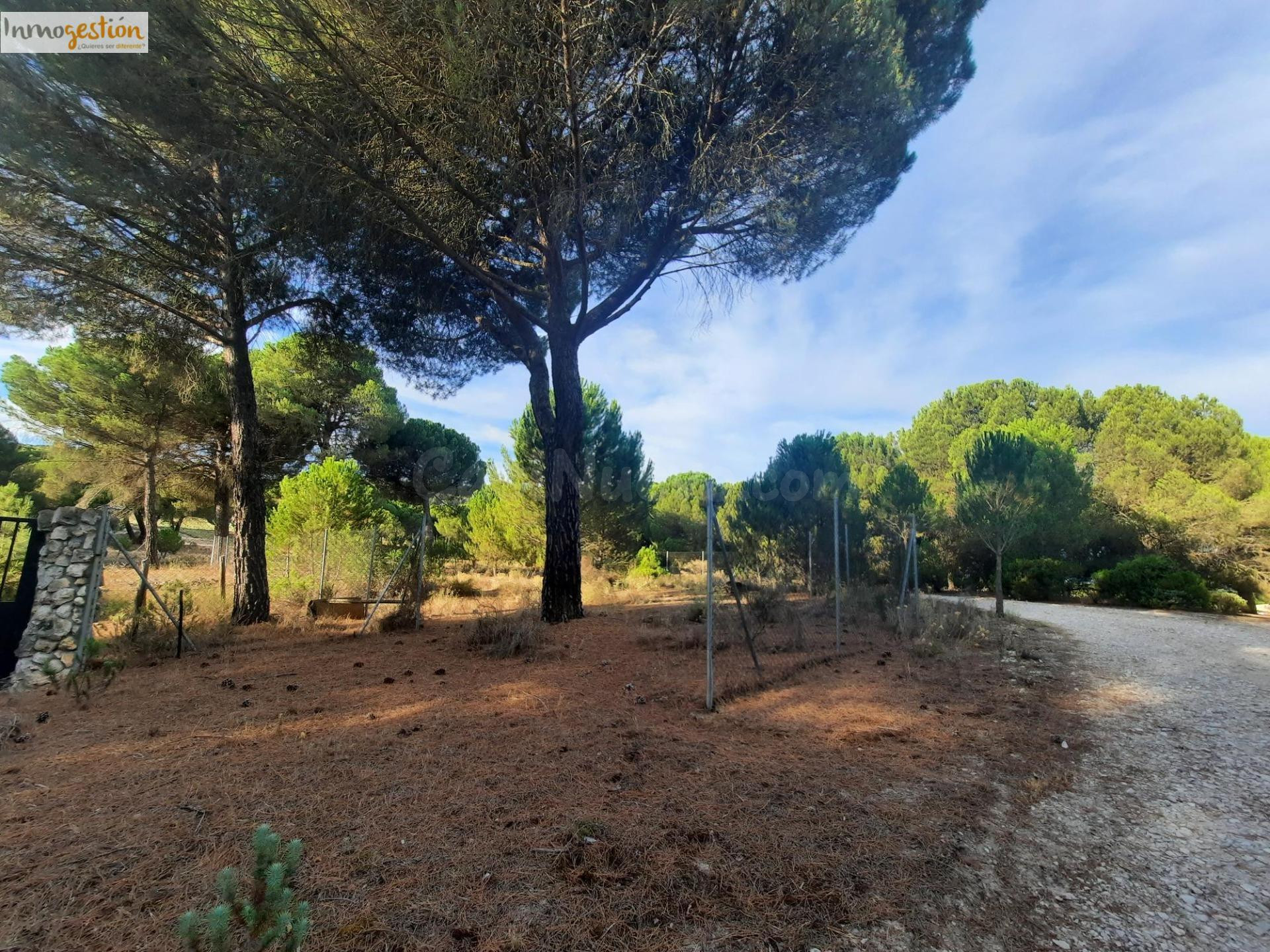 EN VENTA TERRENO RÚSTICO, TUDELA DE DUERO - foto 3