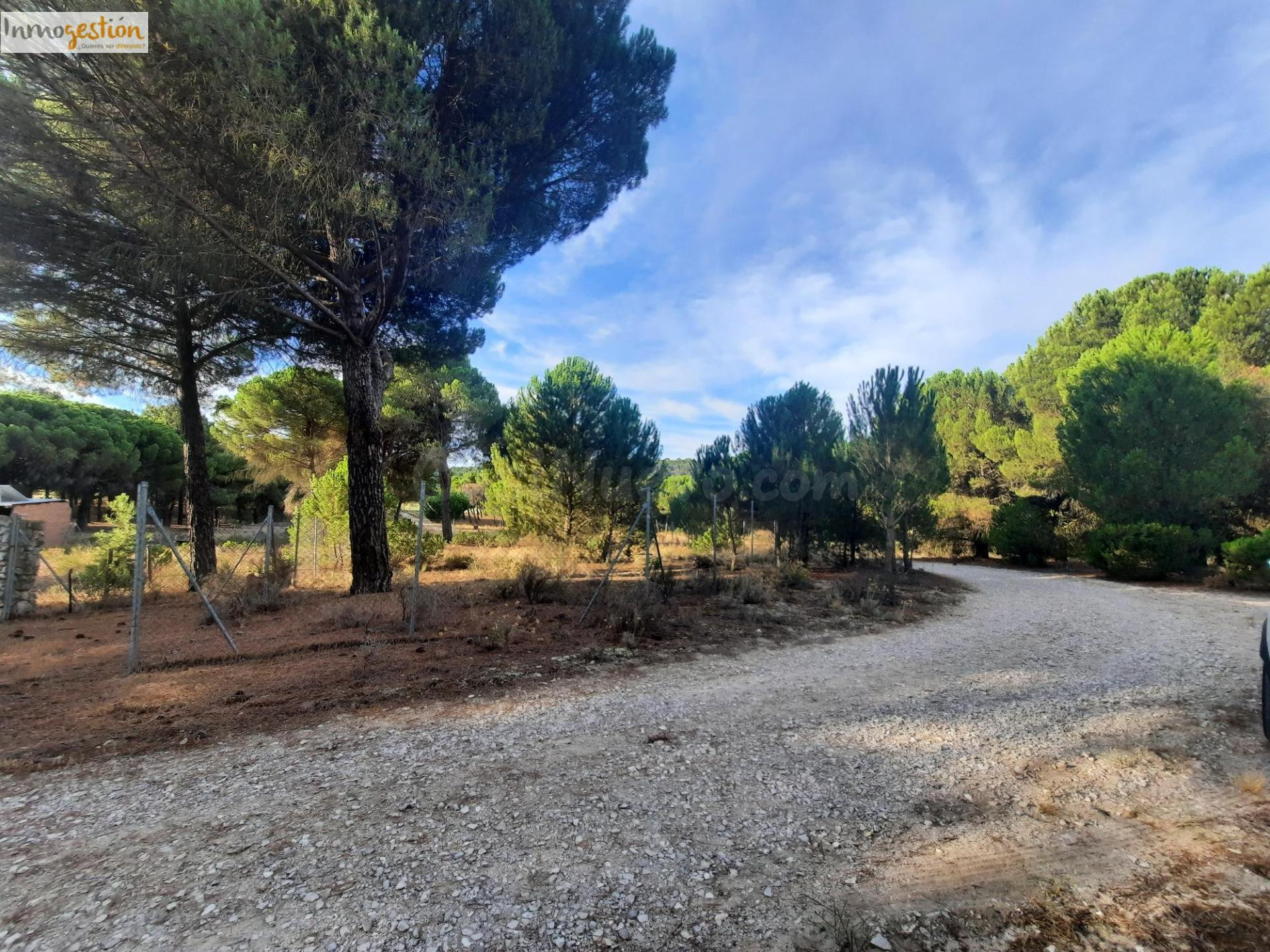 EN VENTA TERRENO RÚSTICO, TUDELA DE DUERO - foto 4