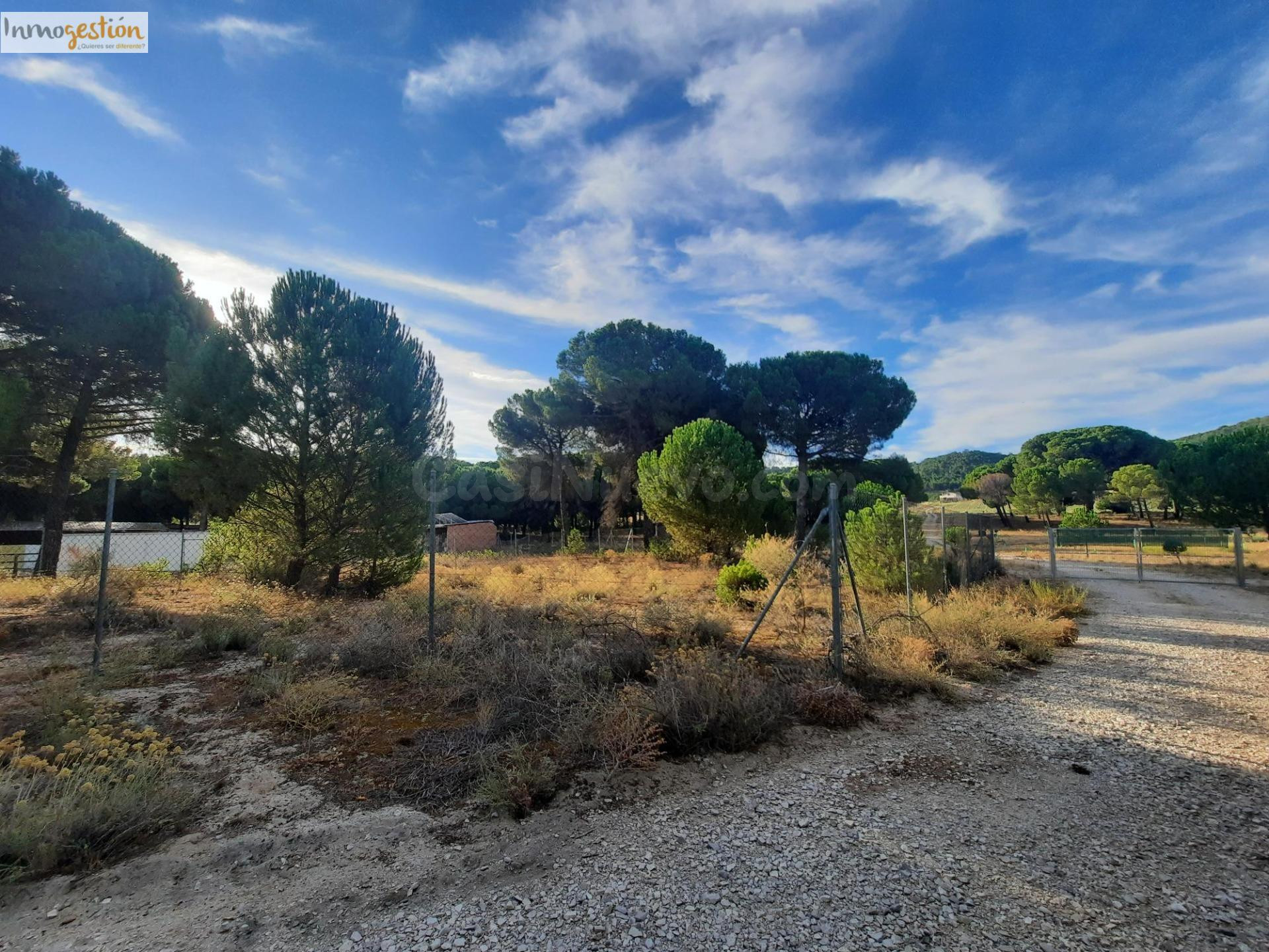 EN VENTA TERRENO RÚSTICO, TUDELA DE DUERO - foto 5