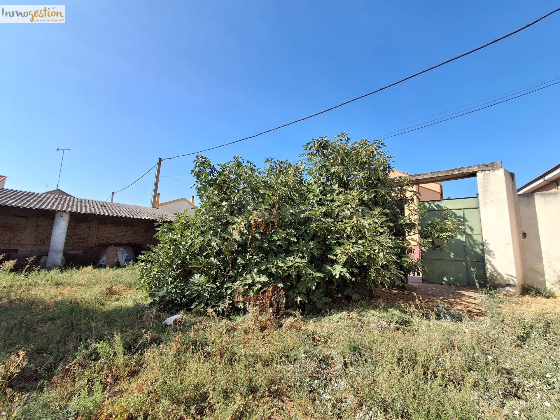 EN VENTA SOLAR EN TUDELA DE DUERO - foto 3