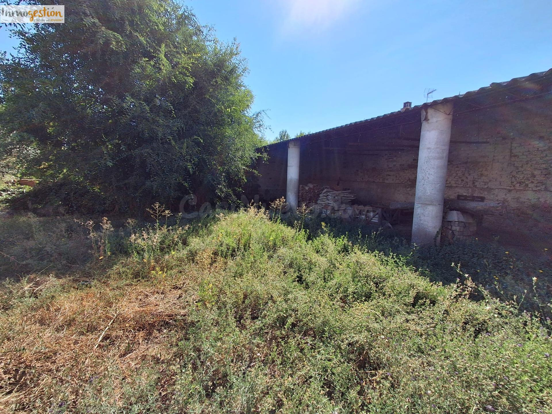 EN VENTA SOLAR EN TUDELA DE DUERO - foto 4