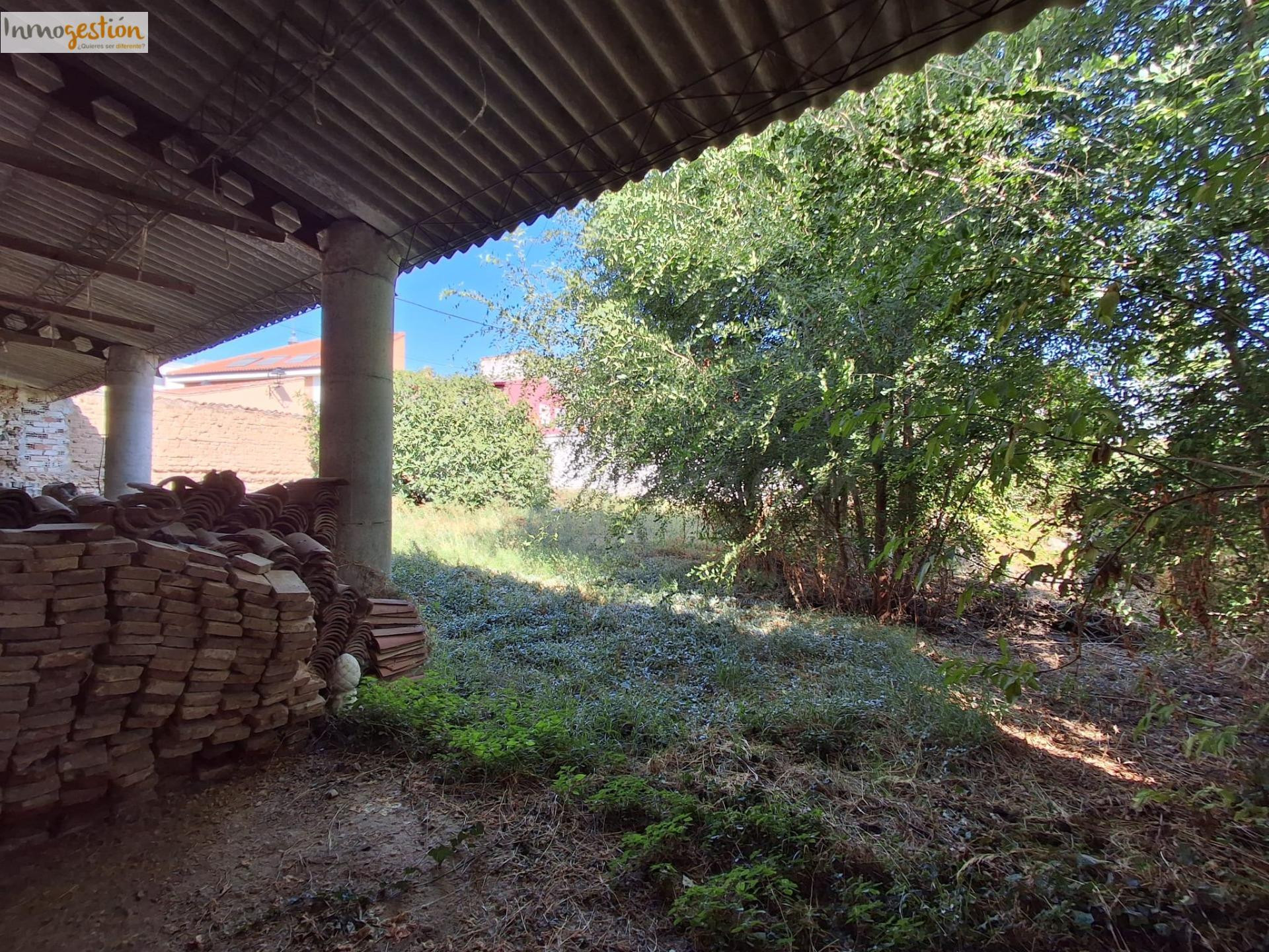 EN VENTA SOLAR EN TUDELA DE DUERO - foto 5