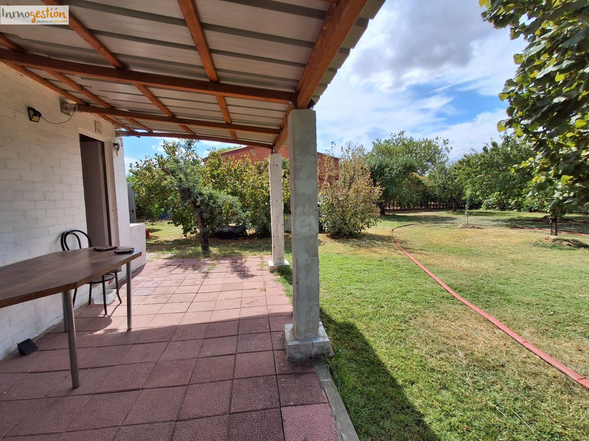 TERRENO CON CASETA EN VENTA EN TUDELA DE DUERO - foto 3