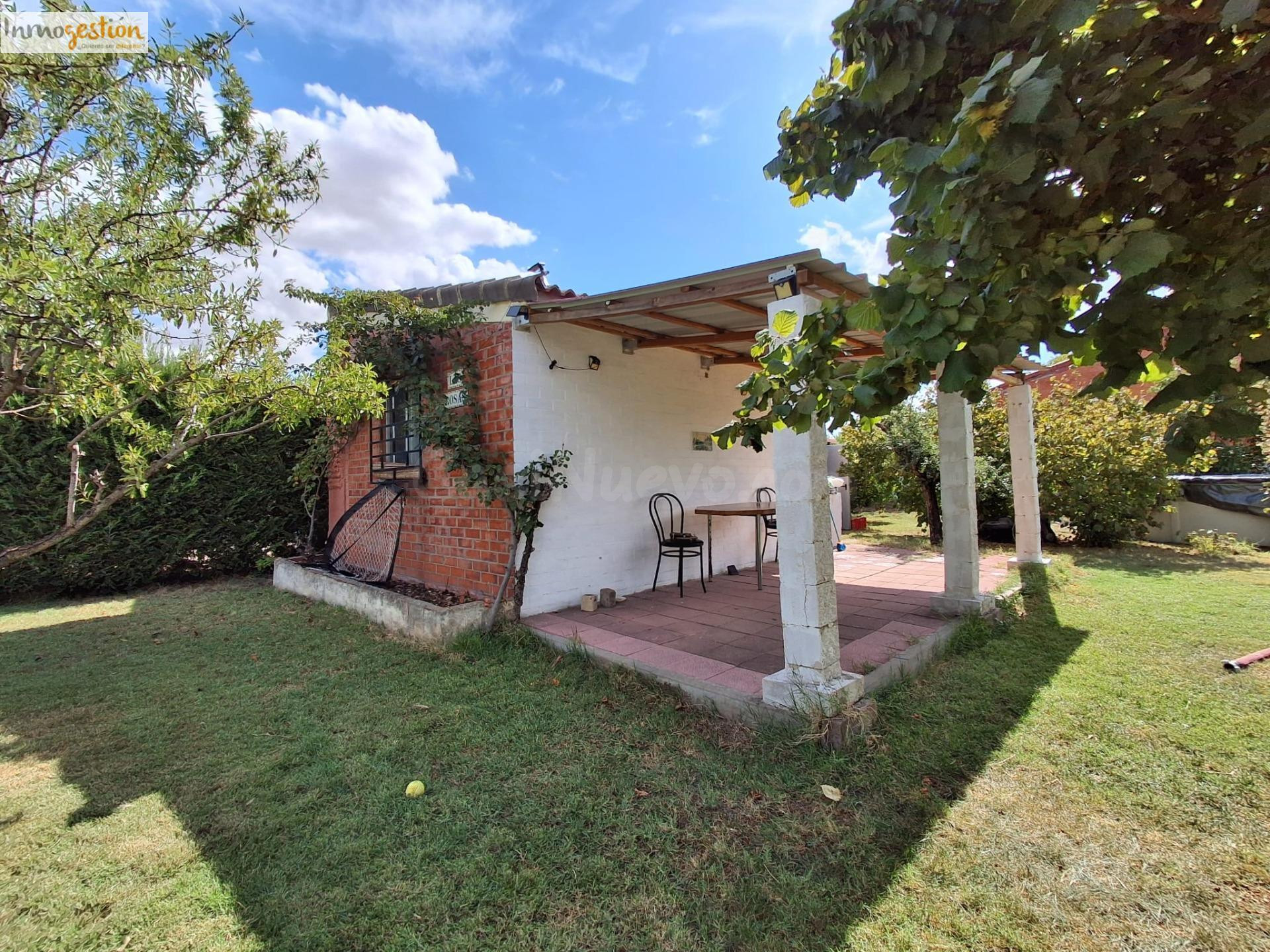 TERRENO CON CASETA EN VENTA EN TUDELA DE DUERO - foto 5
