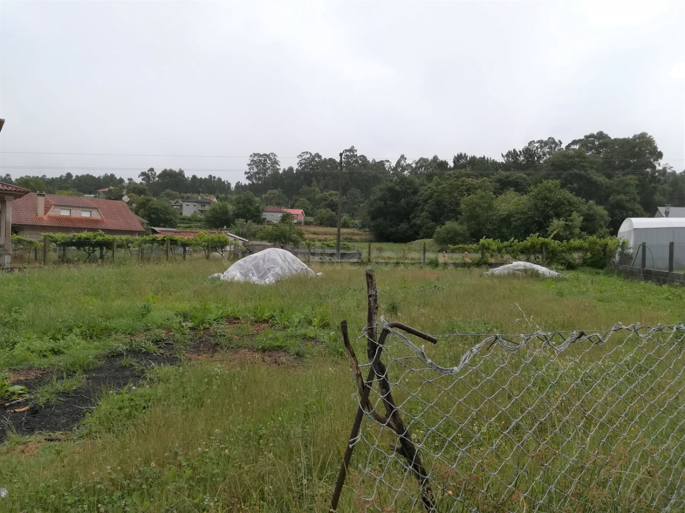 Terreno rural 600m² en venta - Tomiño - foto 4