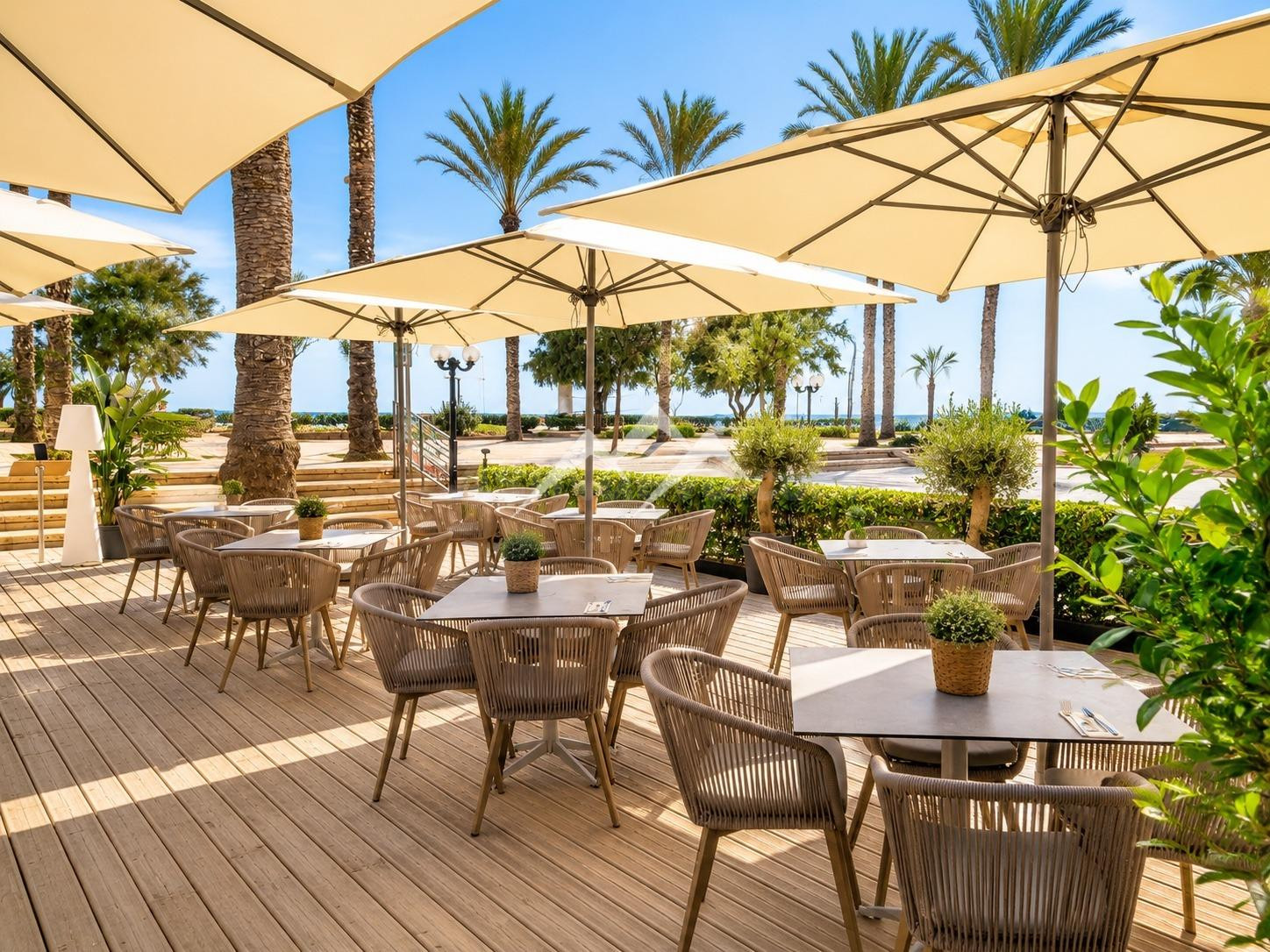 Excelente oportunidad de inversión en Playa de Palma