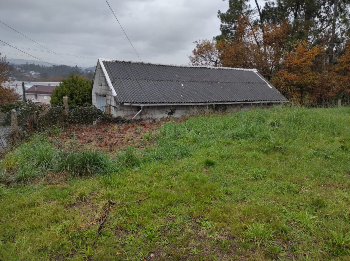 no en Venta en Camino Roxo Amieiro Longo Sanguiñeda, Mos - foto 5