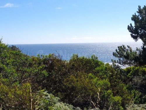 Terreno en venta en Lugar Chavella, 30, Oia - foto 2