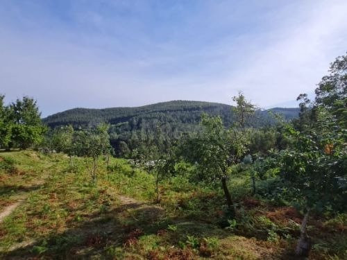 Terreno en venta en Pedreira - Santa Maria de Tebra, 13A, To - foto 4