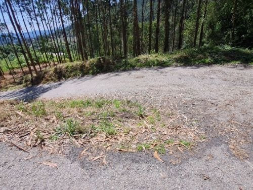 Terreno en venta en Pedreira - Santa Maria de Tebra, 13A, To - foto 5
